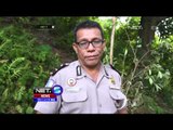 Kecelakaan Maut di Ambon Akibatkan 4 Orang Tewas - NET5