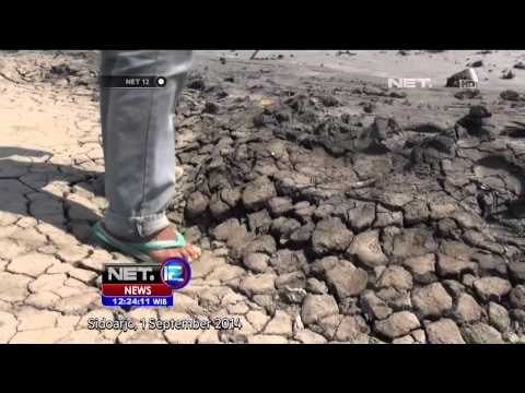 Sebagian Warga Sidoarjo Belum Terima Uang Ganti Rugi Lapindo - NET12