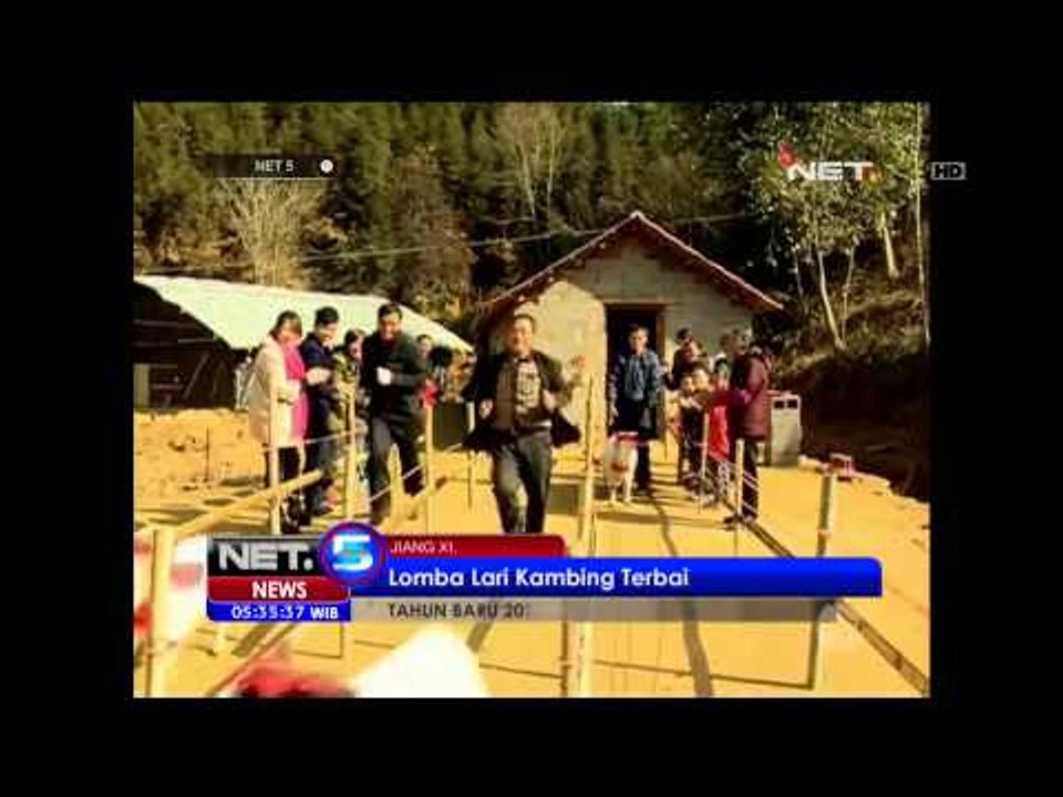Kontes Kecantikan Kambing di Cina - NET5