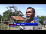 Kodim Tanah Karo Patroli Pastikan Warga Tak Beraktifitas di Zona Bahaya Sinabung - NET12