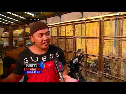 Jelang Mudik, Jasa Pengiriman Barang Meningkat - NET12