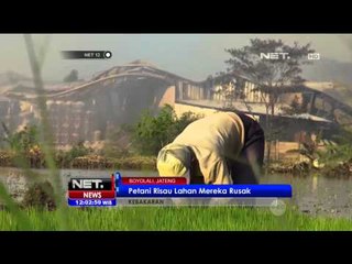 Kebakaran Pabrik di Boyolali, Jawa Tengah - NET12