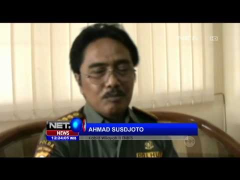 Pencarian Pendaki yang Hilang di Gunung Semeru - NET12