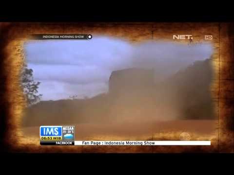 Today's History 12 Agustus World Elephant Day - IMS