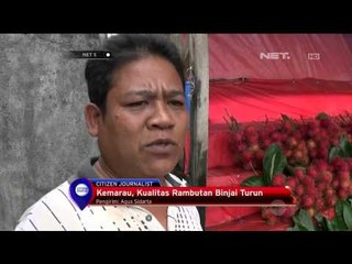 Скачать видео: Musim Kemarau Kualitas Rambutan Binjai Turun - NET5