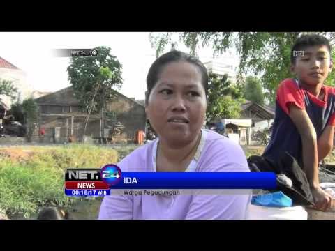 Akibat Kemarau Panjang Taman Kota Kekeringan - NET24