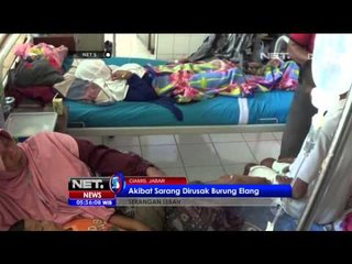 9 Warga di Ciamis Terkena Serangan Lebah - NET5