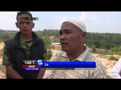 Gajah Liar di Pekanbaru Masuk Pemukiman - NET5