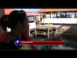 Wisata di Penangkaran Penyu di Sulawesi Selatan - NET12