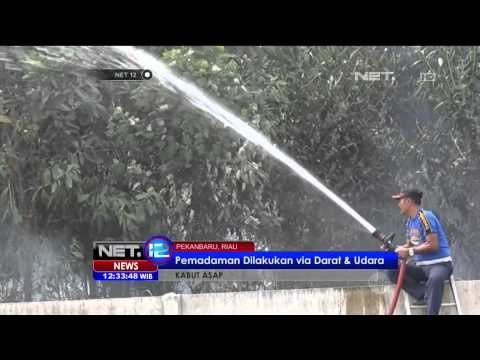 Siswa Belajar Gunakan Masker Akibat Asap Kebakaran Hutan - NET12