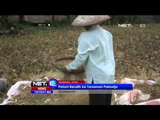 Akibat Musim Kemaru Panjang, Air di Waduk Jatiluhur Menyusut - NET12