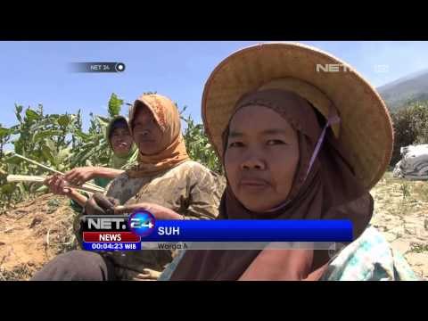 Tiga Hari Kebakaran Hutan di Gunung Sumbing Belum Terpadamkan - NET24
