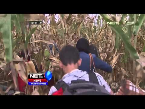 Krisis Migran di Jerman - NET24