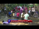 Tradisi Gubyak Ikan, Puluhan Warga Desa Cibeber Berebut Ikan Mas di Saluran Air - NET5