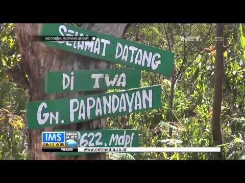 Kebakaran Hutan Papandayan Berangsur Padam - IMS