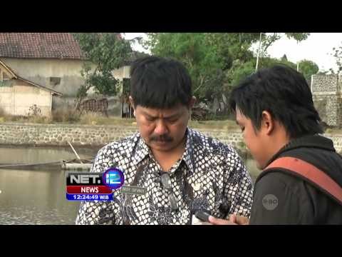 Musim Kemarau Produksi Garam Meningkat di Probolinggo - NET12