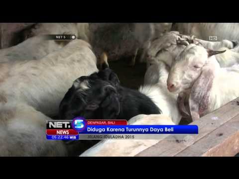 Jelang Idul Adha, Penjualan Kambing di Denpasar Menurun - NET5