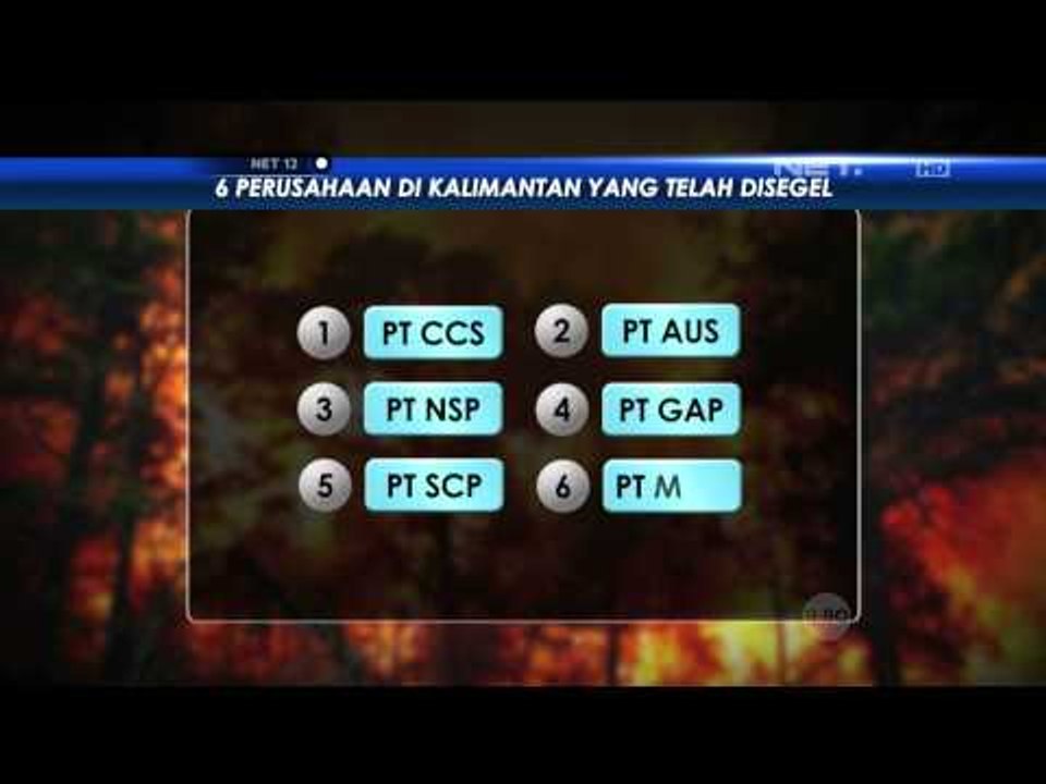 Kebakaran Hutan dan Lahan Melanda California - NET12