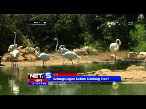 Dampak Kebangkrutan Yunani Terhadap Kondisi Kebun Binatang - NET5