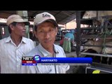 Jelang Idul Adha, Pedagang Borong Kambing di Sumenep - NET5