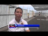Penangkaran Penyu, Usaha Relawan di Banyuwangi Jauhkan Penyu dari Kepunahan - NET5