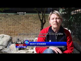 Konservasi Pinguin di Amerika - NET24