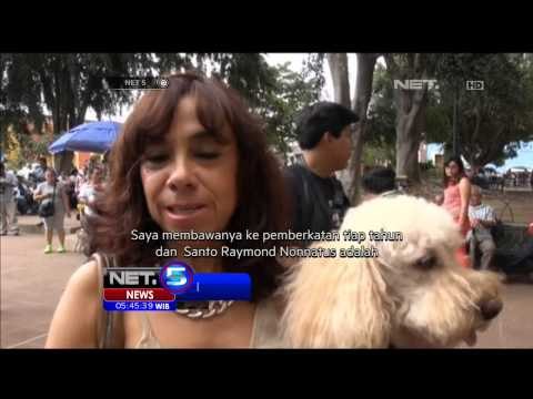 Hewan Berkostum Unik Diberkati - NET5