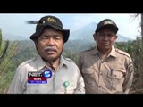 Upaya Pemadaman Api di Hutan Seram Terkendala Minimnya Sarana - NET 5