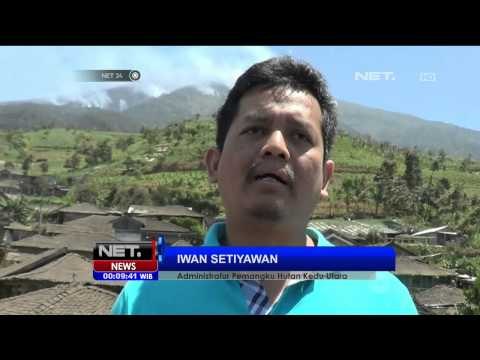 Kebakaran Hutan Gunung Sumbing Meluas - NET24