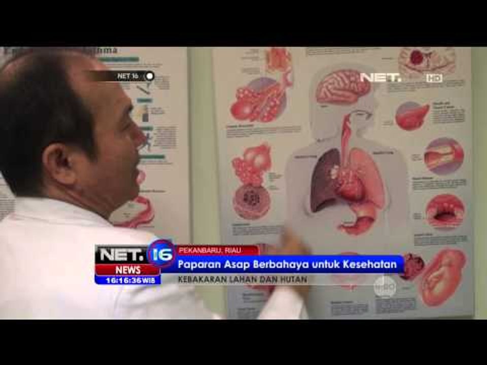 Kualitas Udara di Riau Berada di Level Berbahaya - NET16