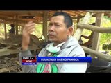 Kebakaran Lahan dan Hutan di Polewali Mandar Capai Ratusan Hektar - NET 12