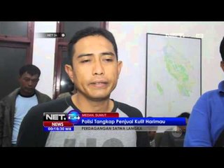 Perdagangan Ilegal Kulit Harimau - NET24