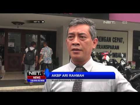 Perusahaan Perkebunan Sawit Diduga Membakar Lahan Seluas 500 Hektar - NET16