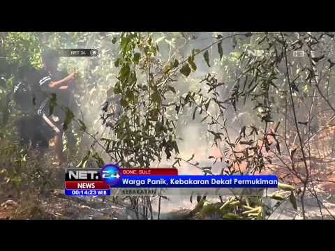 Kebakaran Hanguskan Lahan Jati Kawasan Hutan Lindung di Bone - NET24