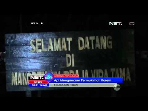 Kebakaran Hutan di Sorong, Papua Barat - NET24