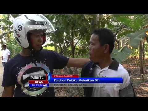 Aksi Pengejaran Petugas dengan Puluhan Pejudi Sabung Ayam di Polewali Mandar - NET5