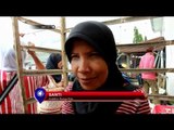 Perempuan di Kabupaten Sidrap Sulsel memilih berburu bunga hias - NET12