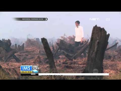 Kilas Berita Sepekan Pemerintah Indonesia Terima Bantuan Asing - IMS