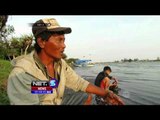 Ribuan Ikan Mati di Kawasan Wisata Kulon Progo - NET5