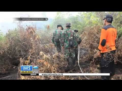 Target Pemadaman 30 Hari Gagal, Libur Sekolah Terpaksa Diperpanjang - IMS