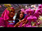 Dinas Pertanian Di Surabaya Bagikan Bibit Anggrek Gratis - NET12