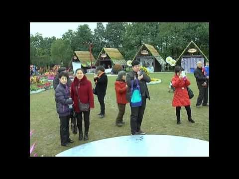 Kesenian Daerah Meriahkan Perayaan Cap Go Meh di Cina - NET5