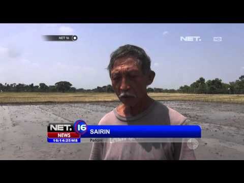 Krisis Air di Boyolali, Warga Gali Sungai Kering - NET16