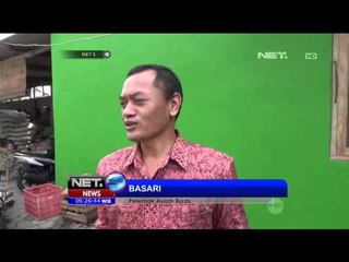 Diduga Karena Virus, Ribuan Ayam Mati - NET5