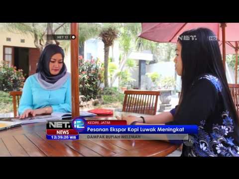 Dollar Naik, Pengusaha Kopi Luwak di Kediri Raup Untung Besar - NET12