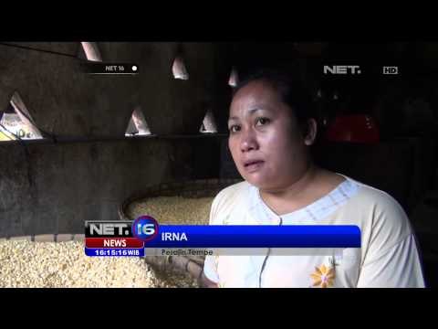 Rupiah melemah perajin tempe terancam gulung tikar - NET16