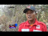 Kebakaran Kalimantan Timur Mengancam Habitat Orang Utan - NET16