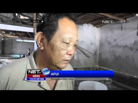 Panen Ubur Ubur Hingga Ratusan Ton Karena Kemarau Panjang - NET12