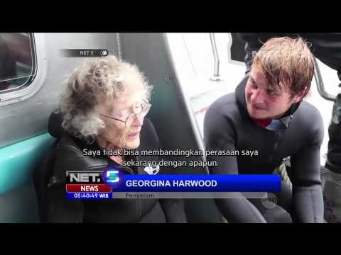 Seorang Penyelam Merayakan Ulang Tahun Bersama Puluhan Hiu NET5