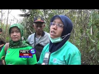 3 Ekor Kukang Dikembalikan ke Alam Liar - NET5